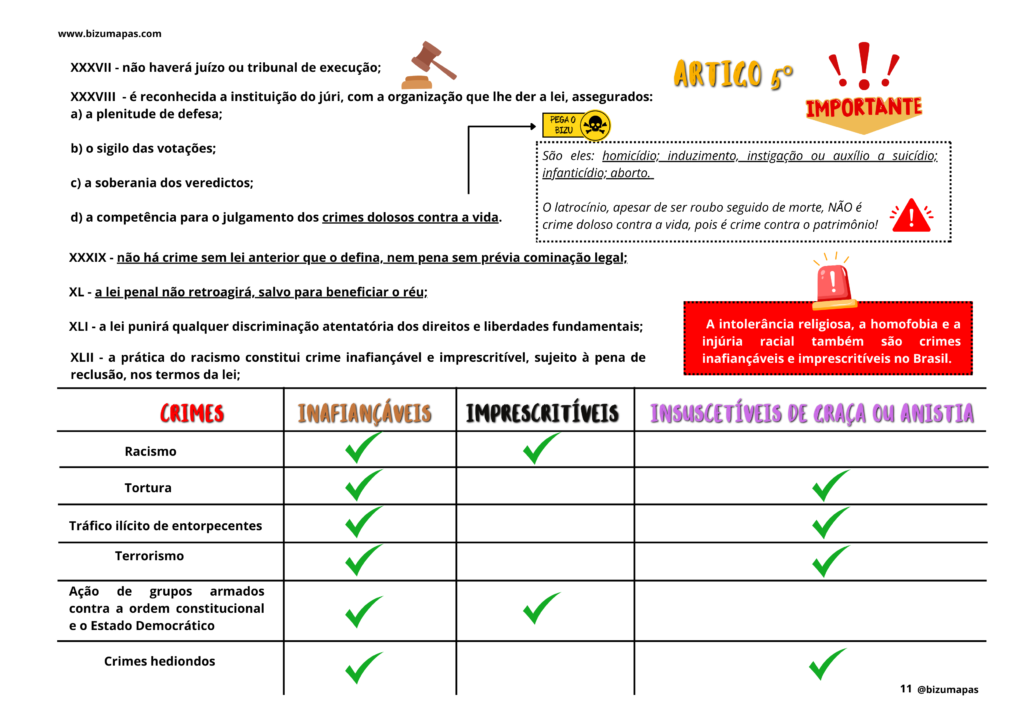 Bizu Mapas - Direito Constitucional (5)