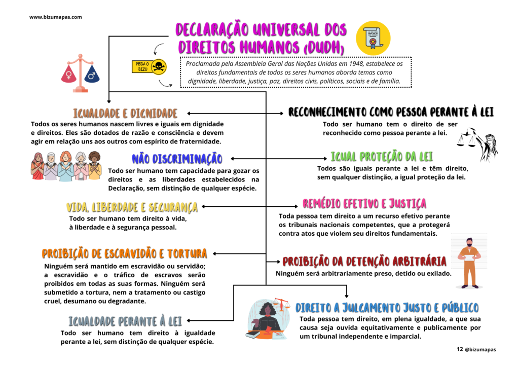 Bizu Mapas - Direitos Humanos (5)
