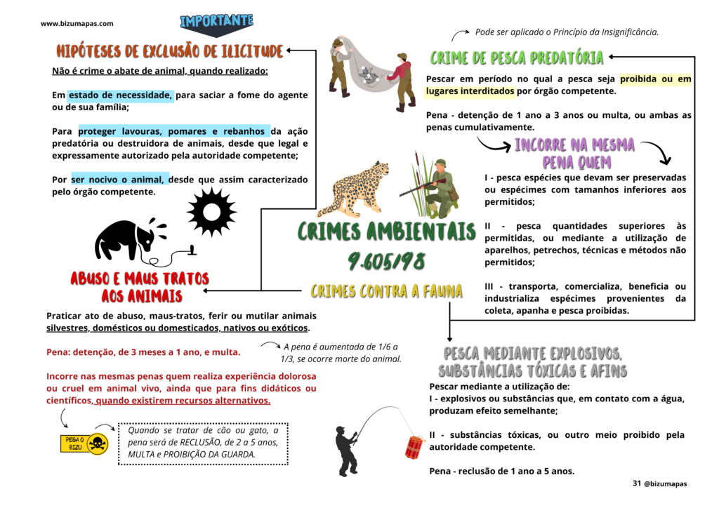 Bizu Mapas - Legislação Extravagante (4)