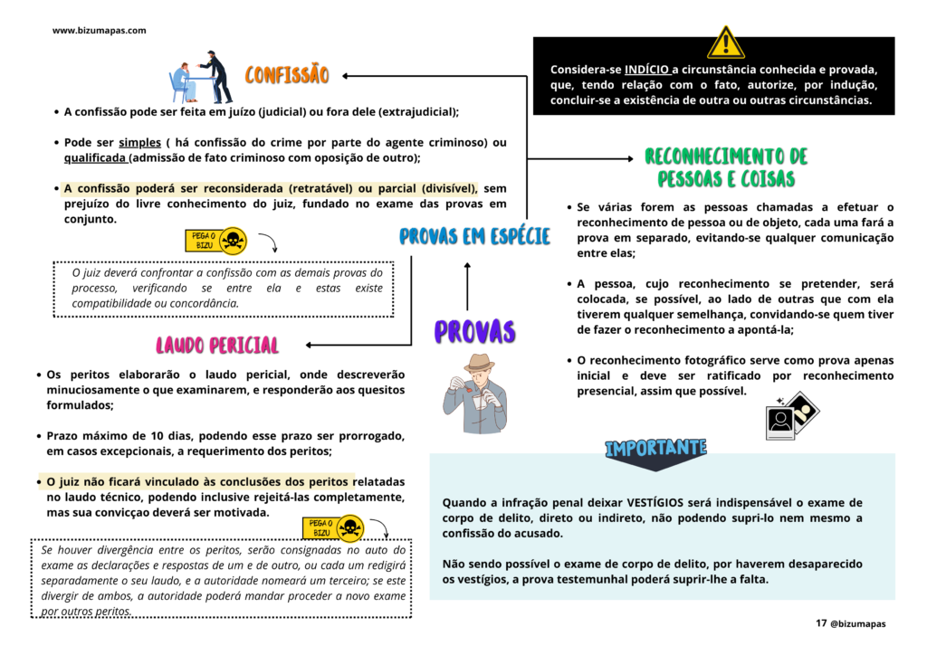 Cópia de Bizu Mapas - Direito Processual Penal (5)