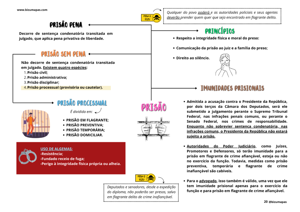 Cópia de Bizu Mapas - Direito Processual Penal (6)